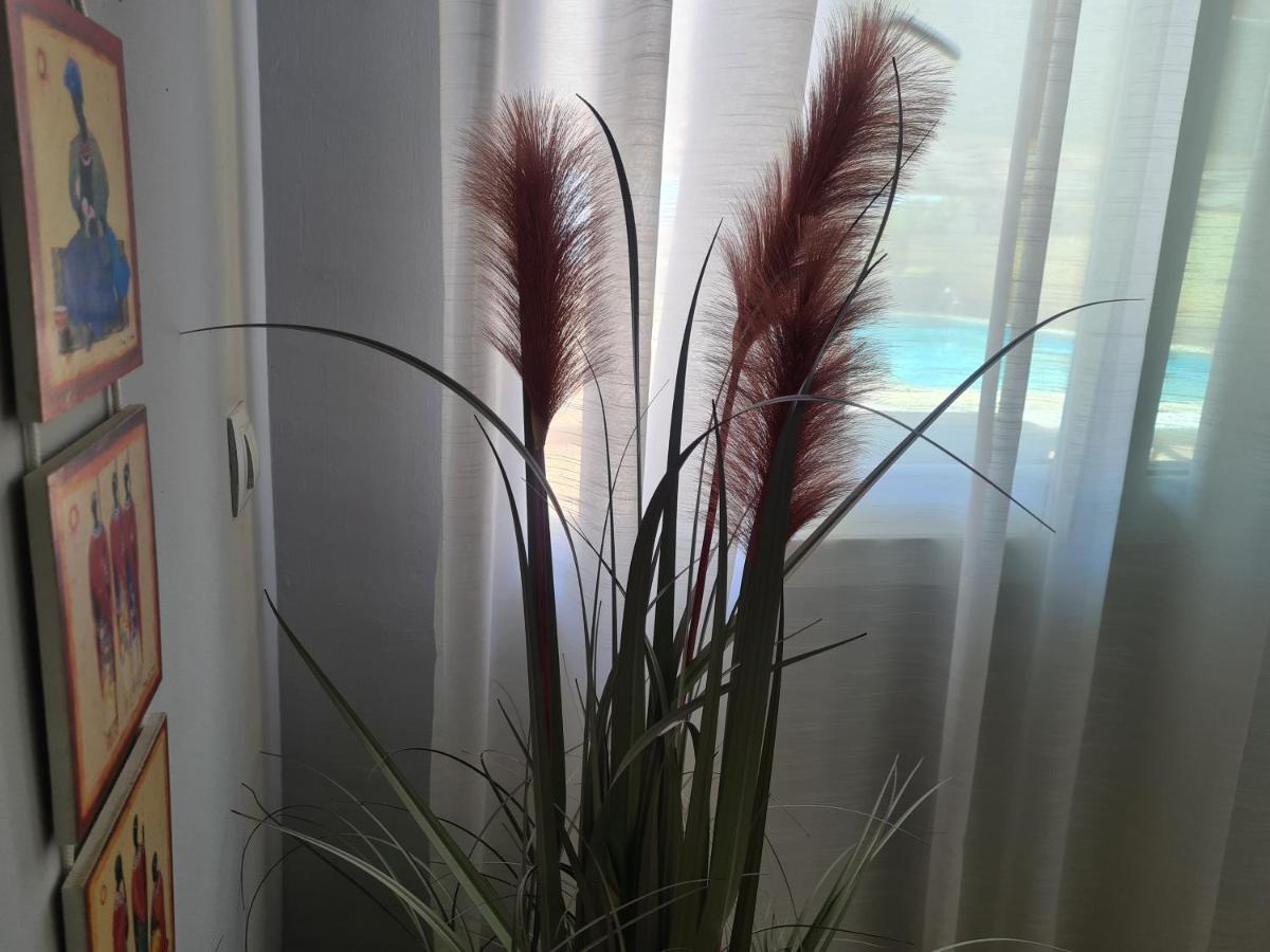 Apartamento El Remo Torremolinos Luaran gambar